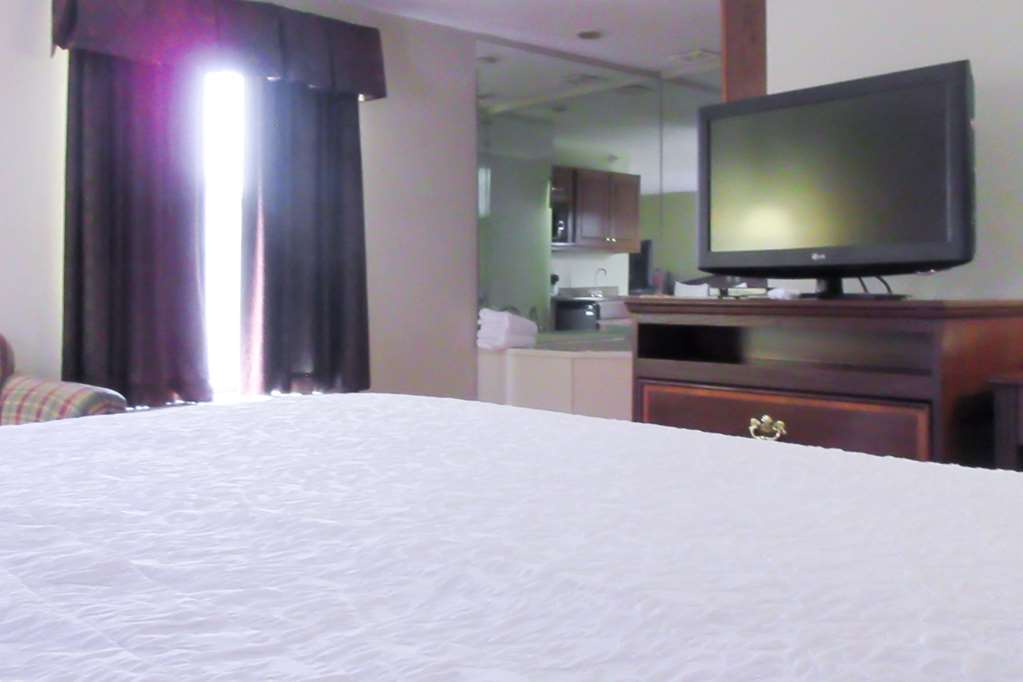 Quality Inn & Suites Quincy - Downtown Zimmer foto